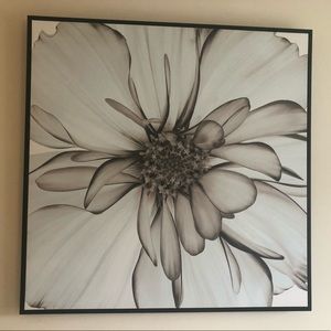 Flower Canvas picture with black frame